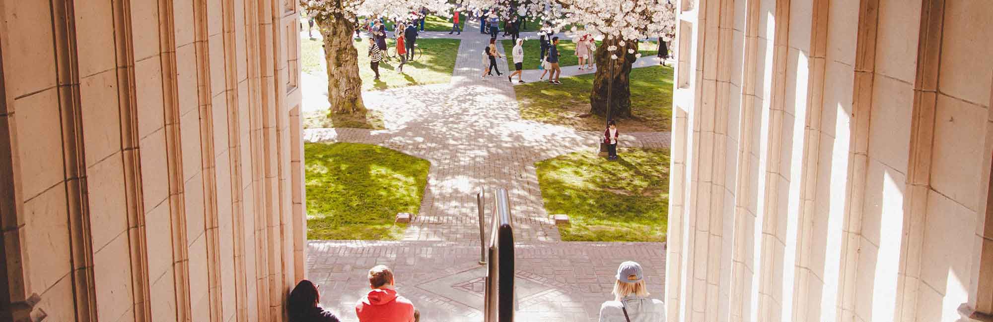  students sit on the stairs
